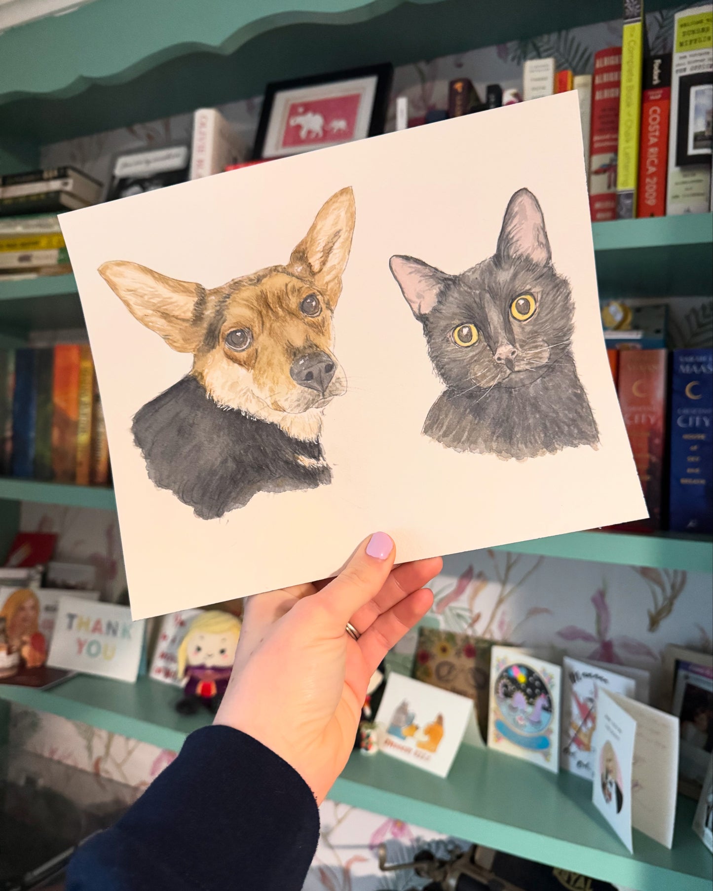 Pet Portraits
