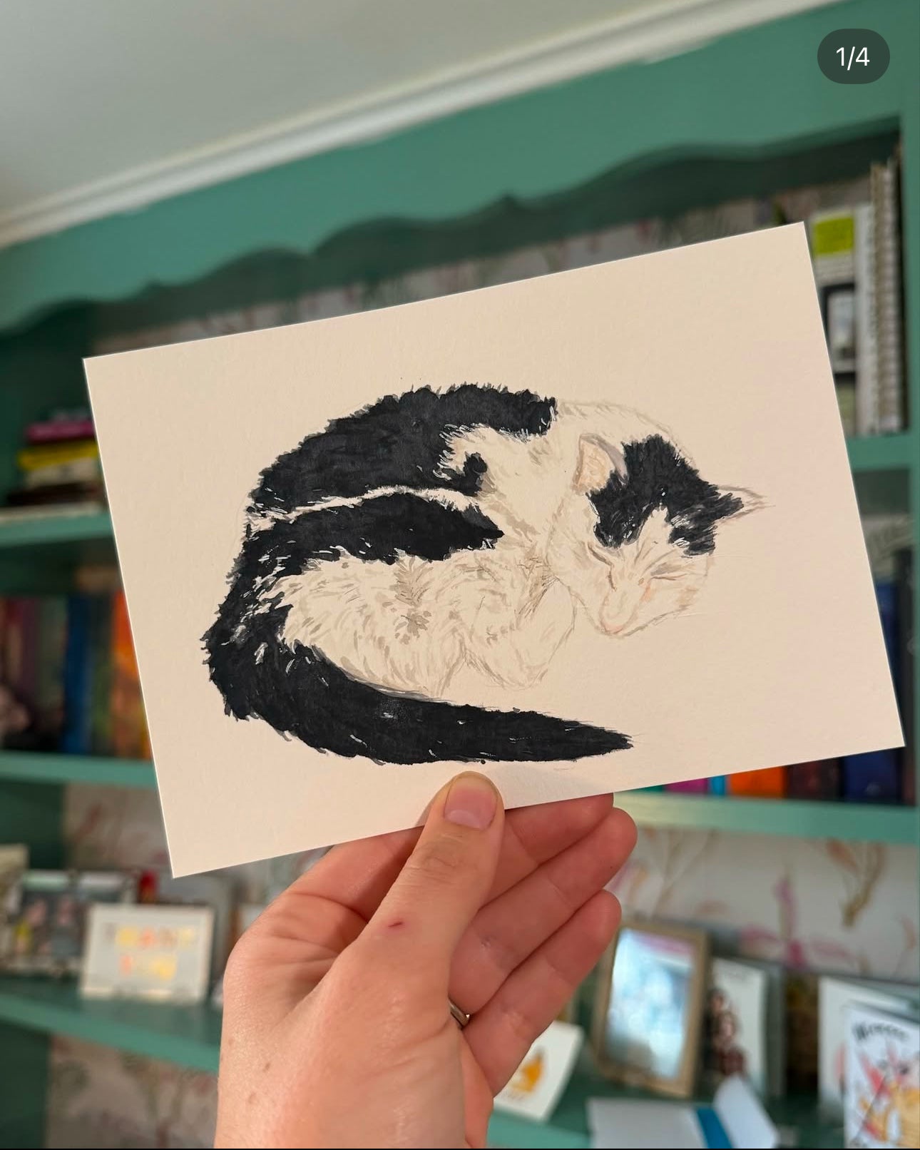Pet Portraits