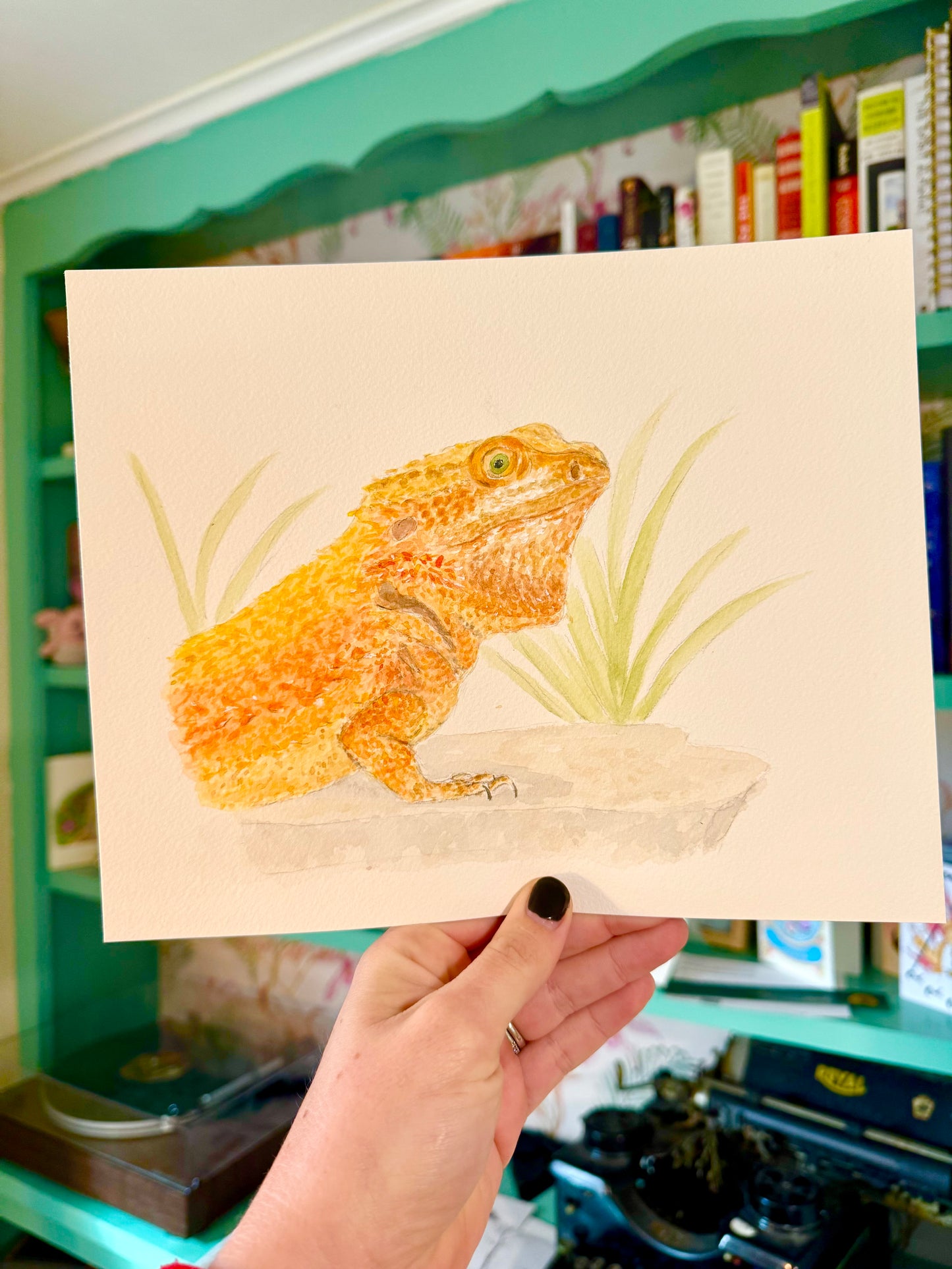 Pet Portraits