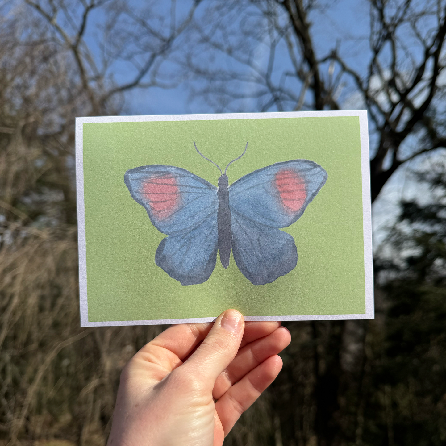 Butterfly Art Print Collection