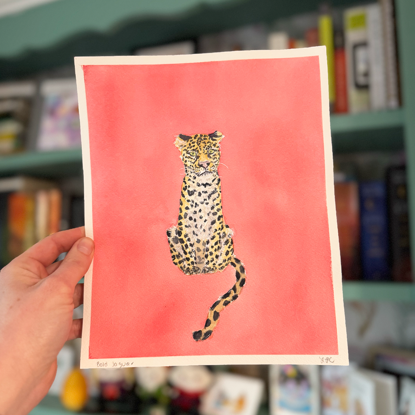 Bold Jaguar