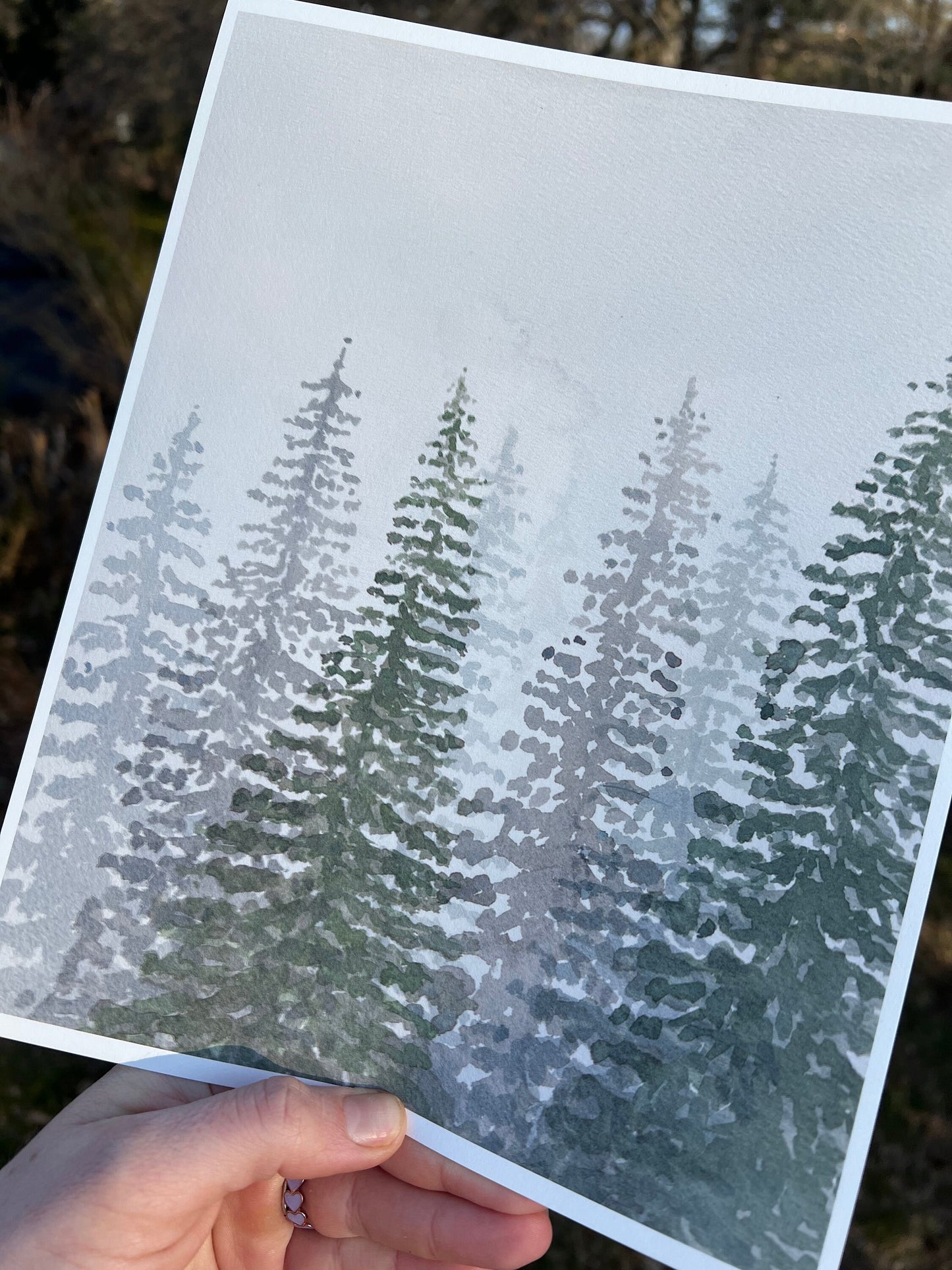 Moody Evergreens Art Print