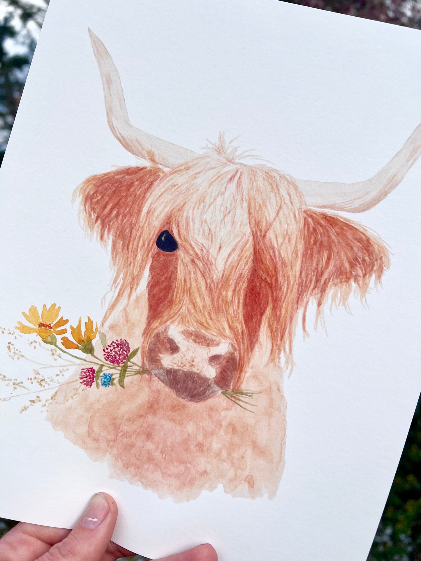 Wildflower Highland Art Print