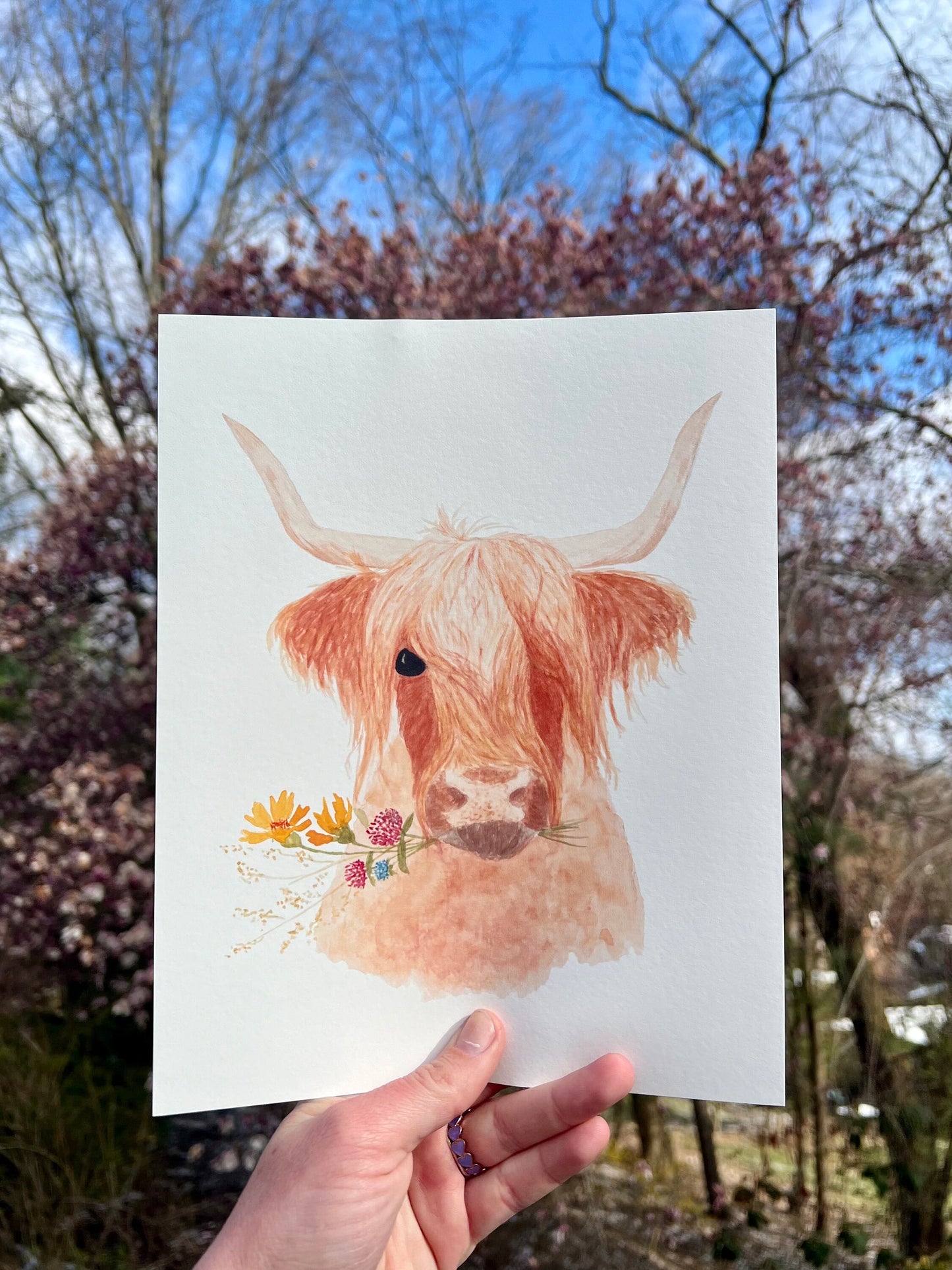 Wildflower Highland Art Print