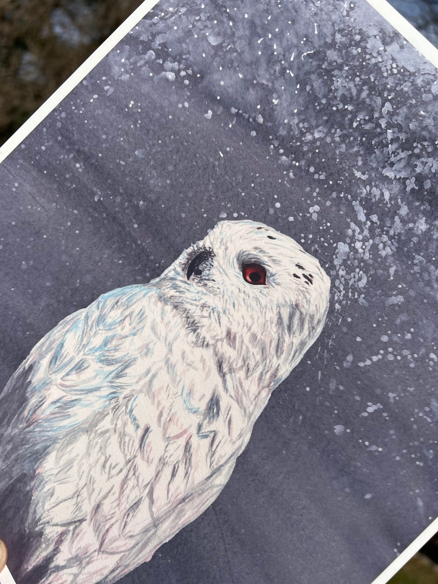 Owl Enigma Art Print