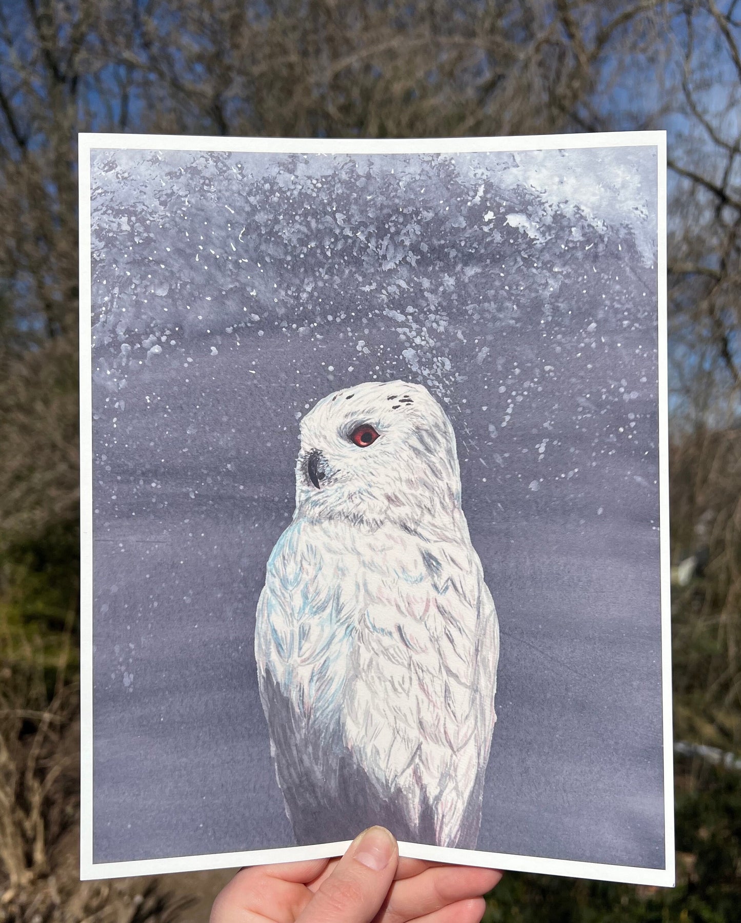 Owl Enigma Art Print