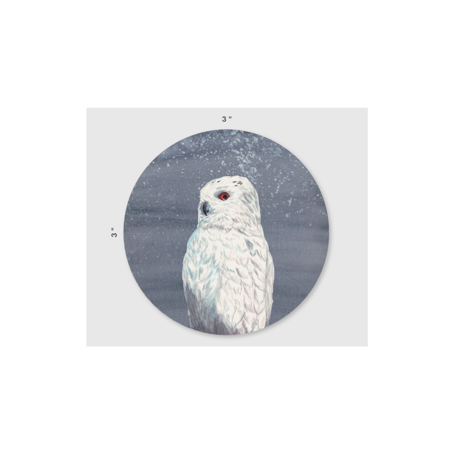 Owl Enigma Vinyl Sticker