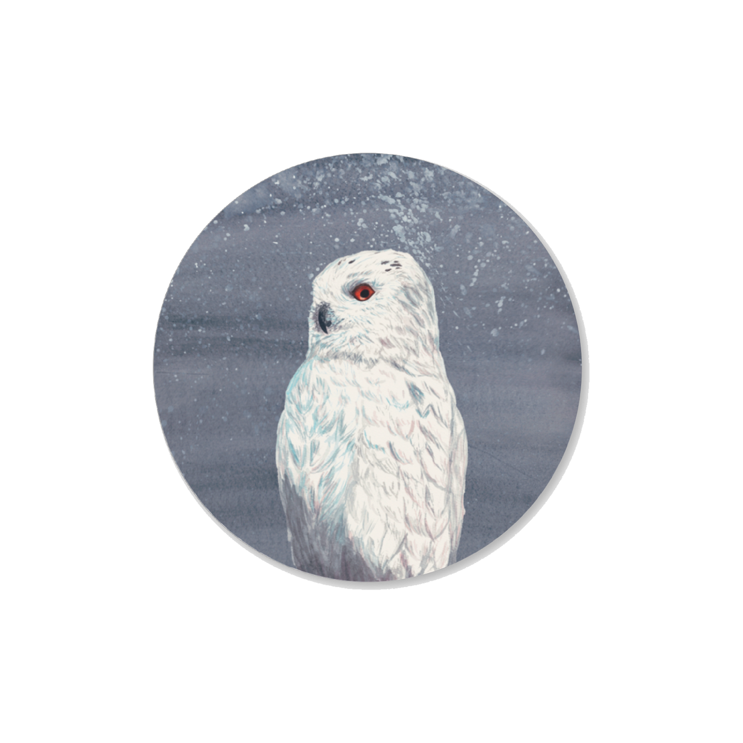 Owl Enigma Vinyl Sticker