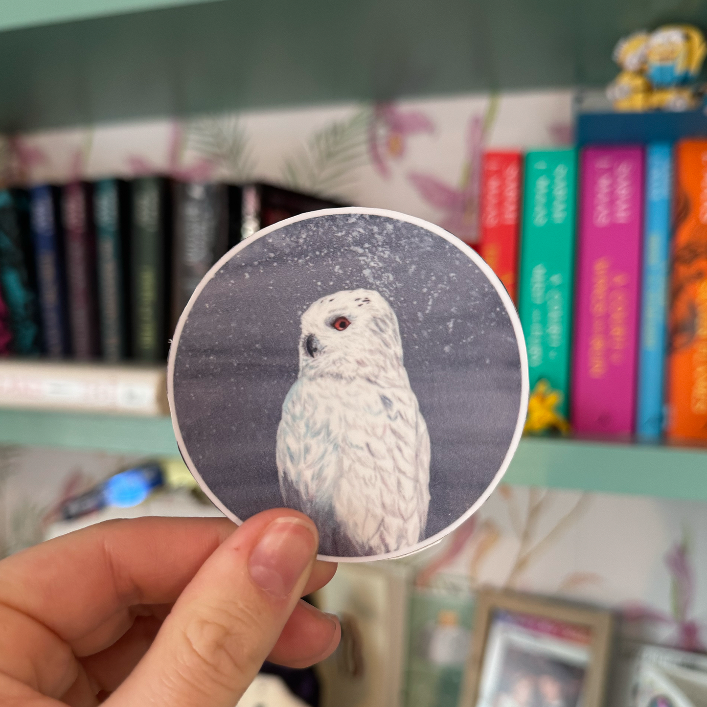 Owl Enigma Vinyl Sticker