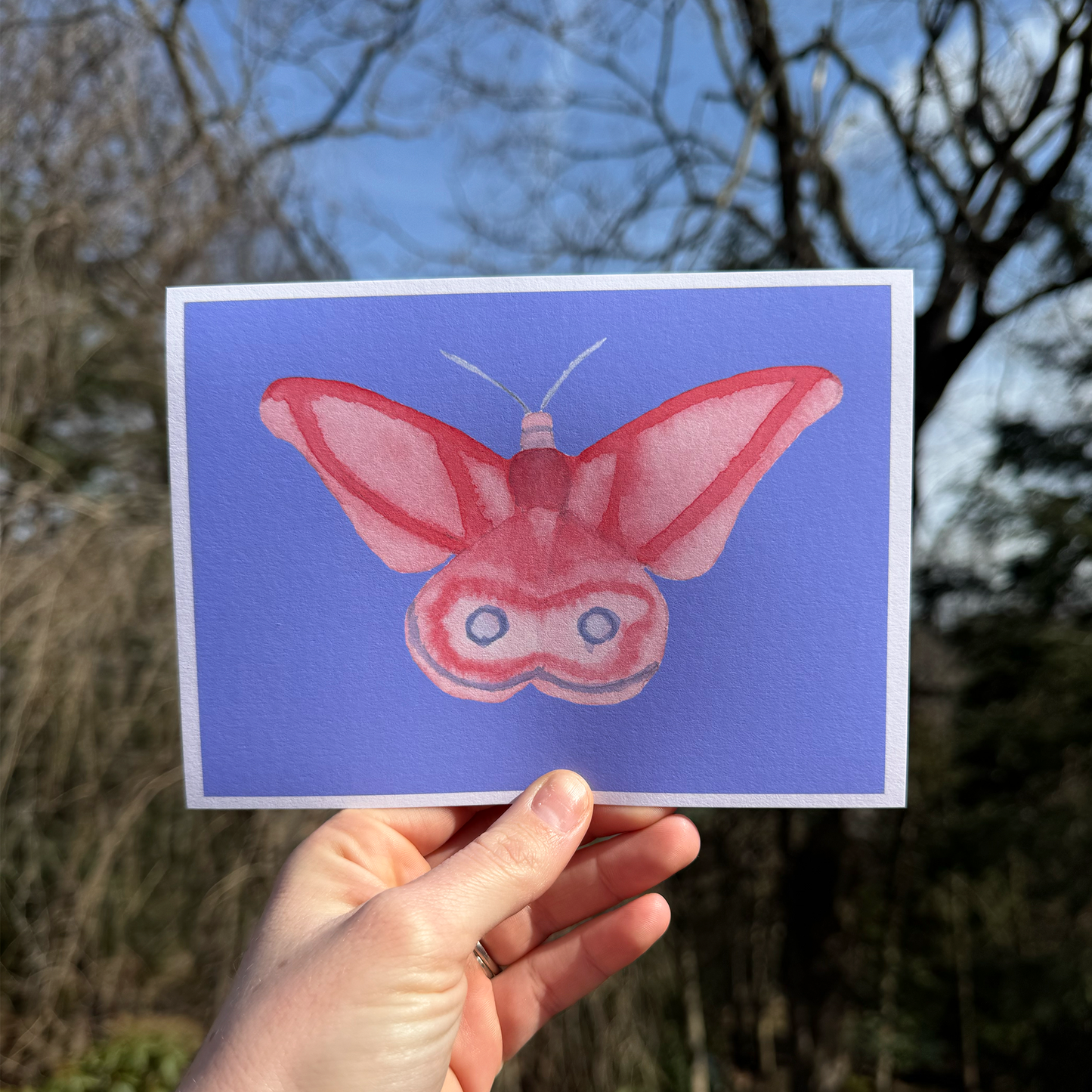 Butterfly Art Print Collection