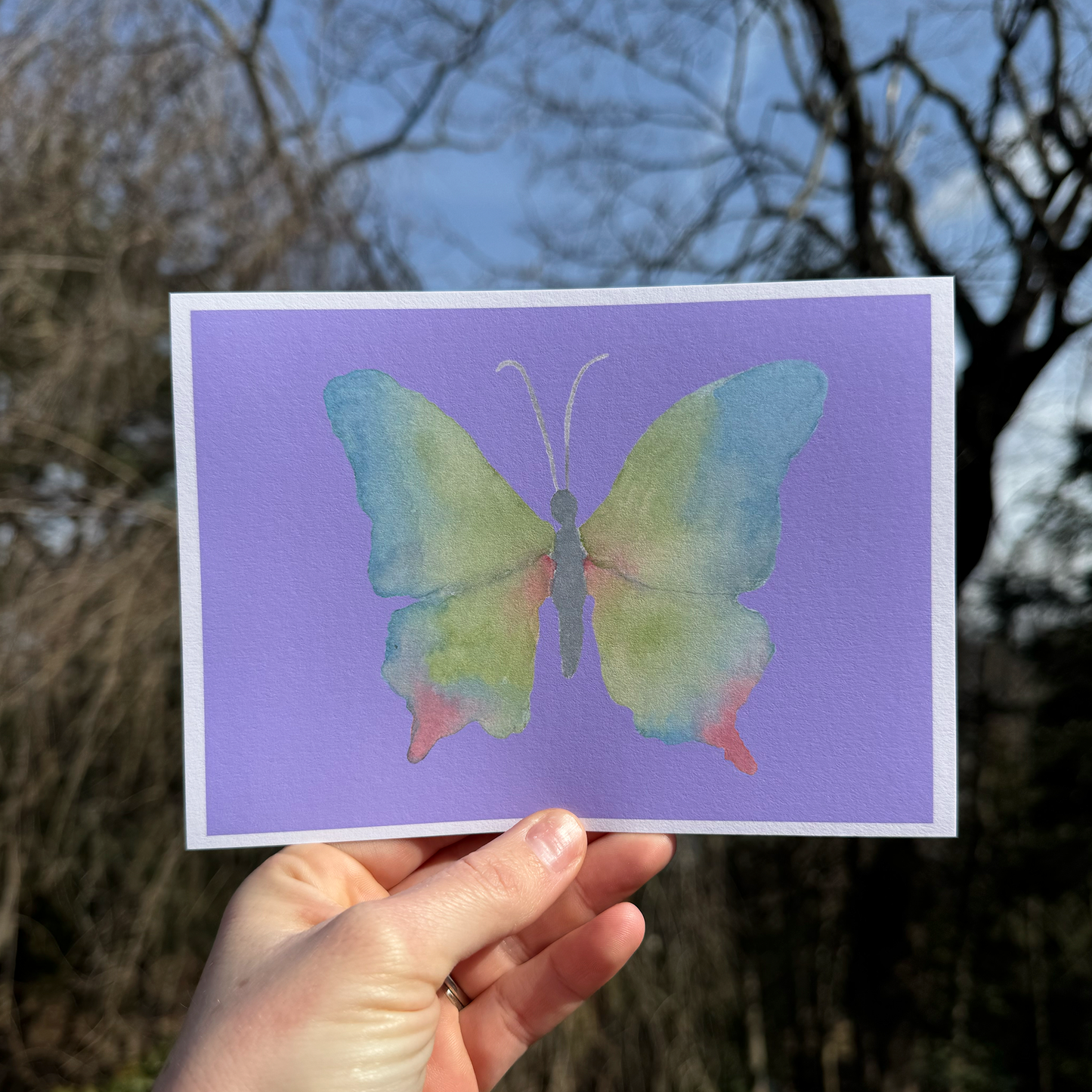 Butterfly Art Print Collection