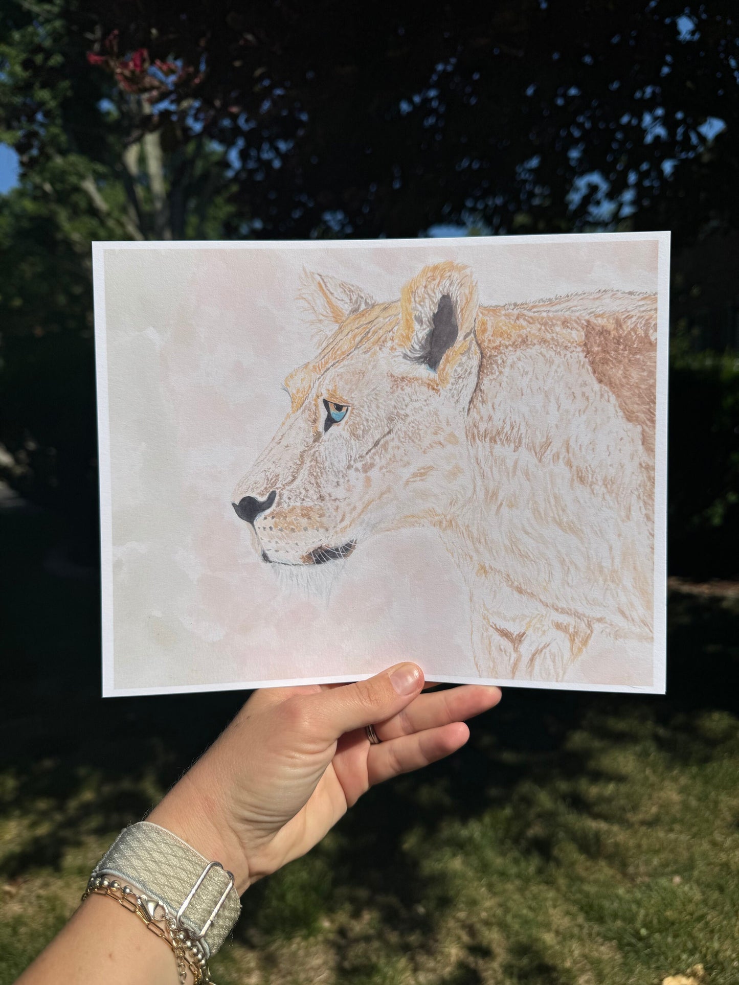 The Lioness Art Print