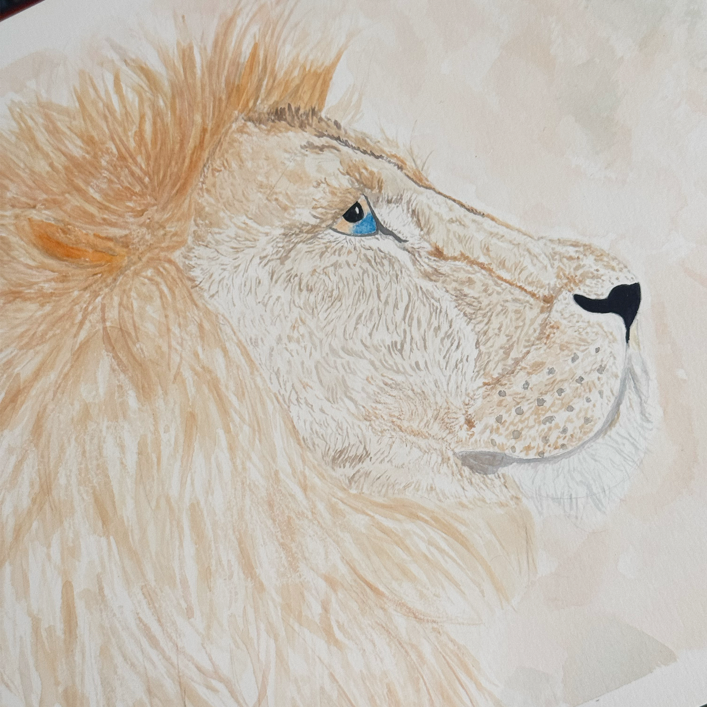 The Lion