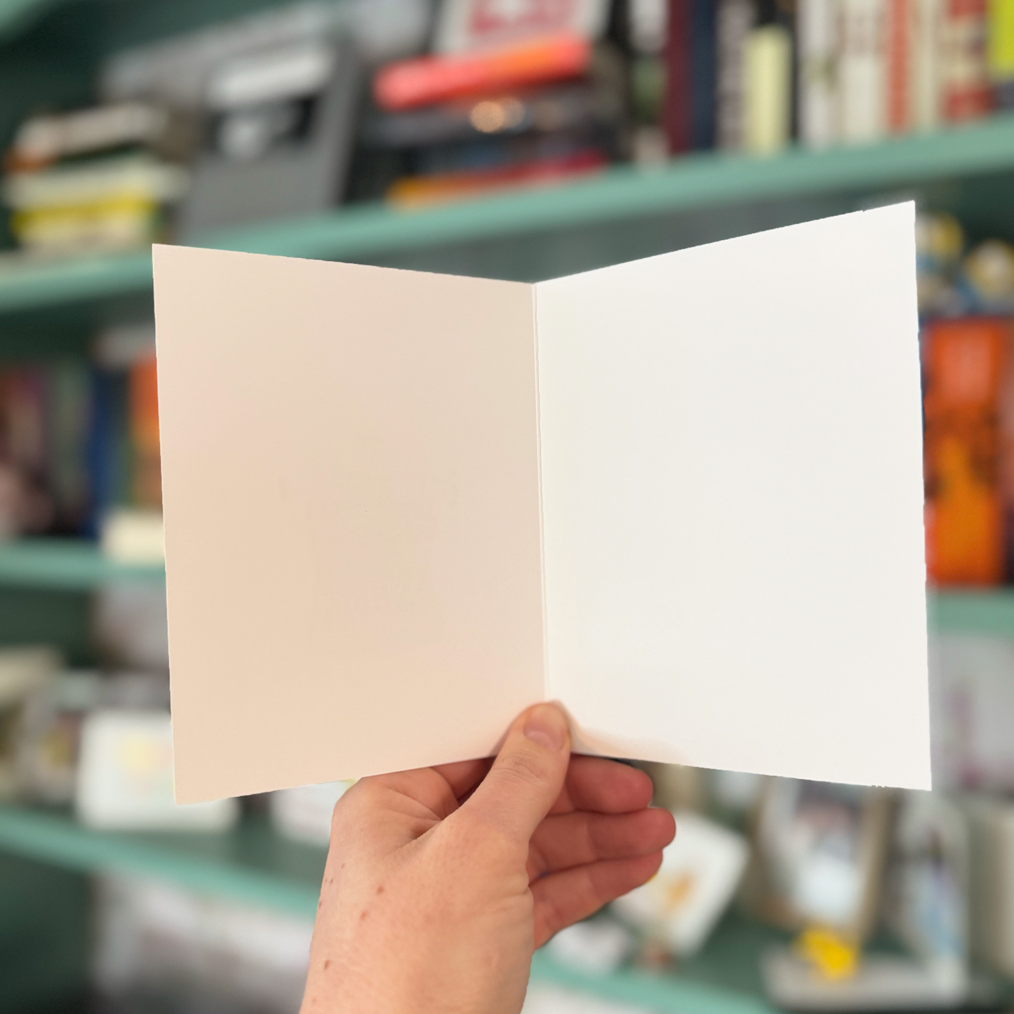 Otter Postal Service Notecard Pack