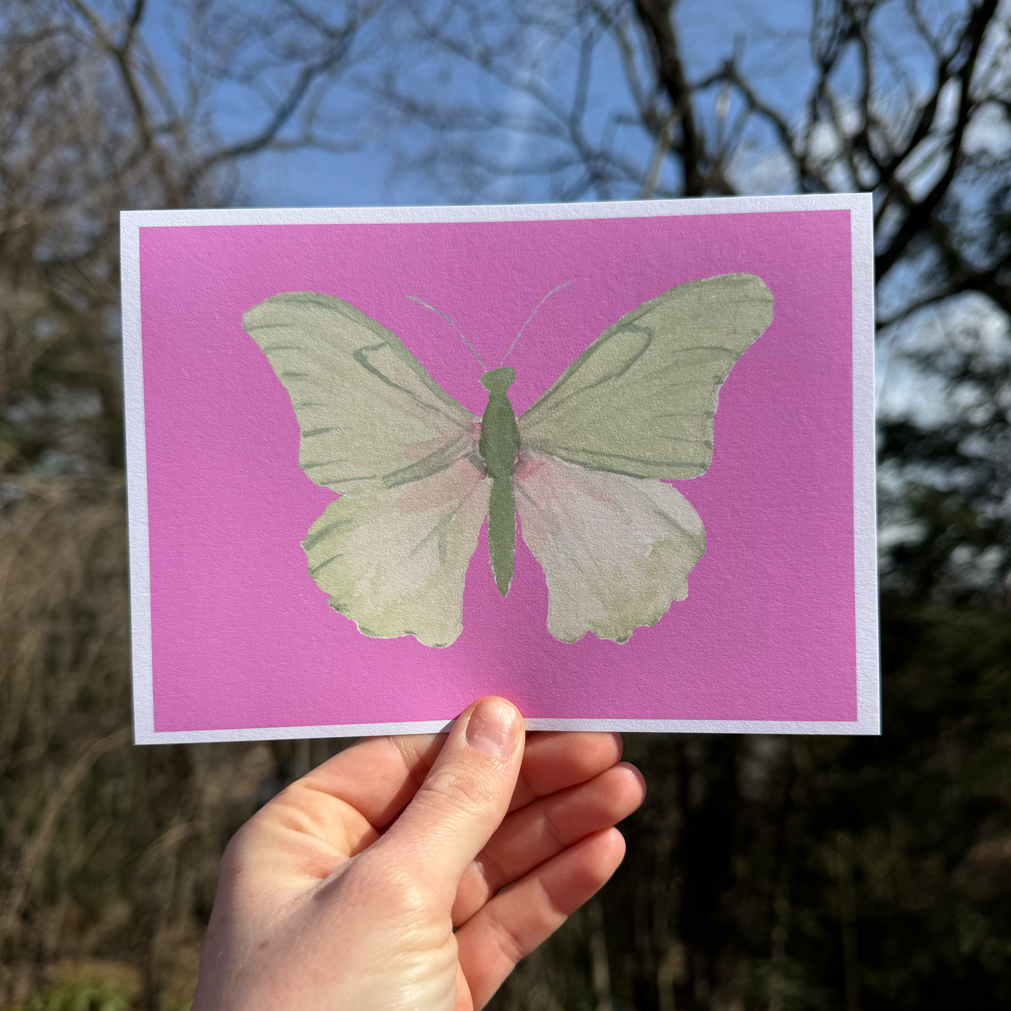 Butterfly Art Print Collection