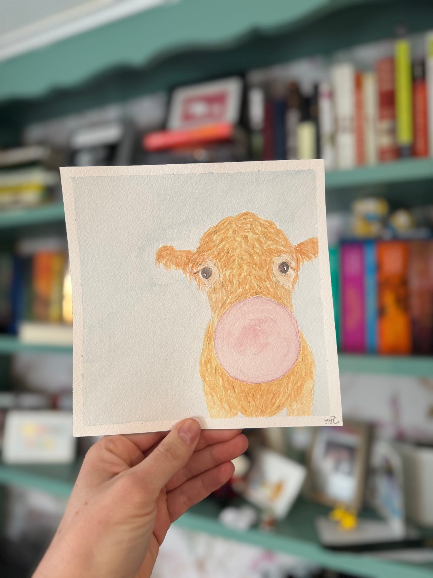 Bubble Gum Highland Cow Sketch