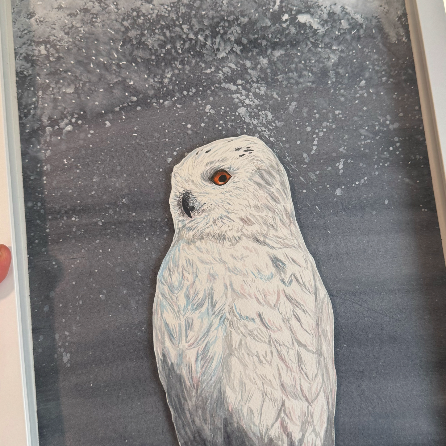 Owl Enigma