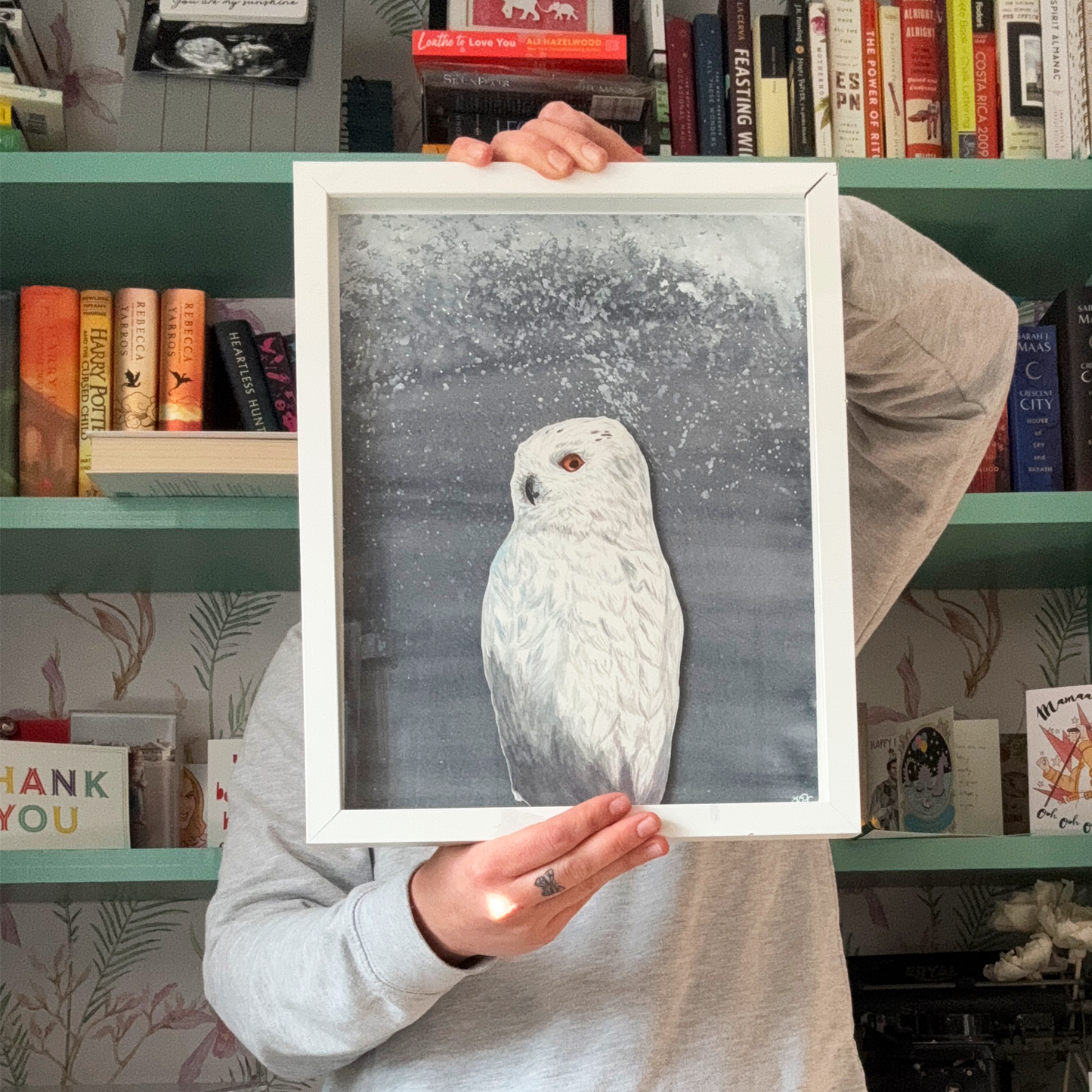 Owl Enigma