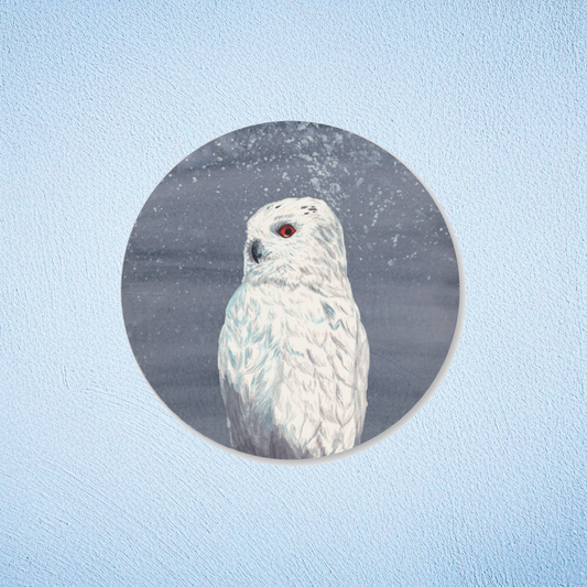Owl Enigma Vinyl Sticker