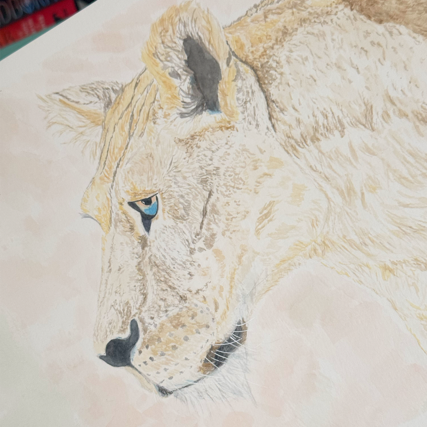 The Lioness